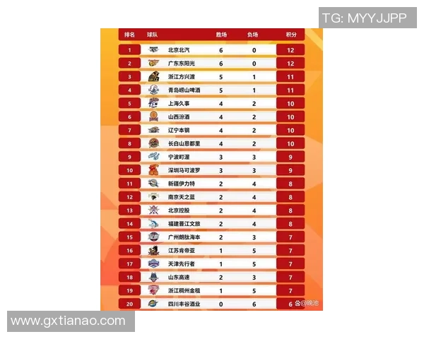 武汉篮球队强势崛起最新篮球力量排行榜前十名揭晓
