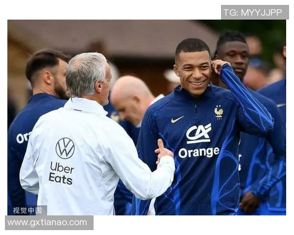 法国非裔足球明星的崛起与影响力探讨